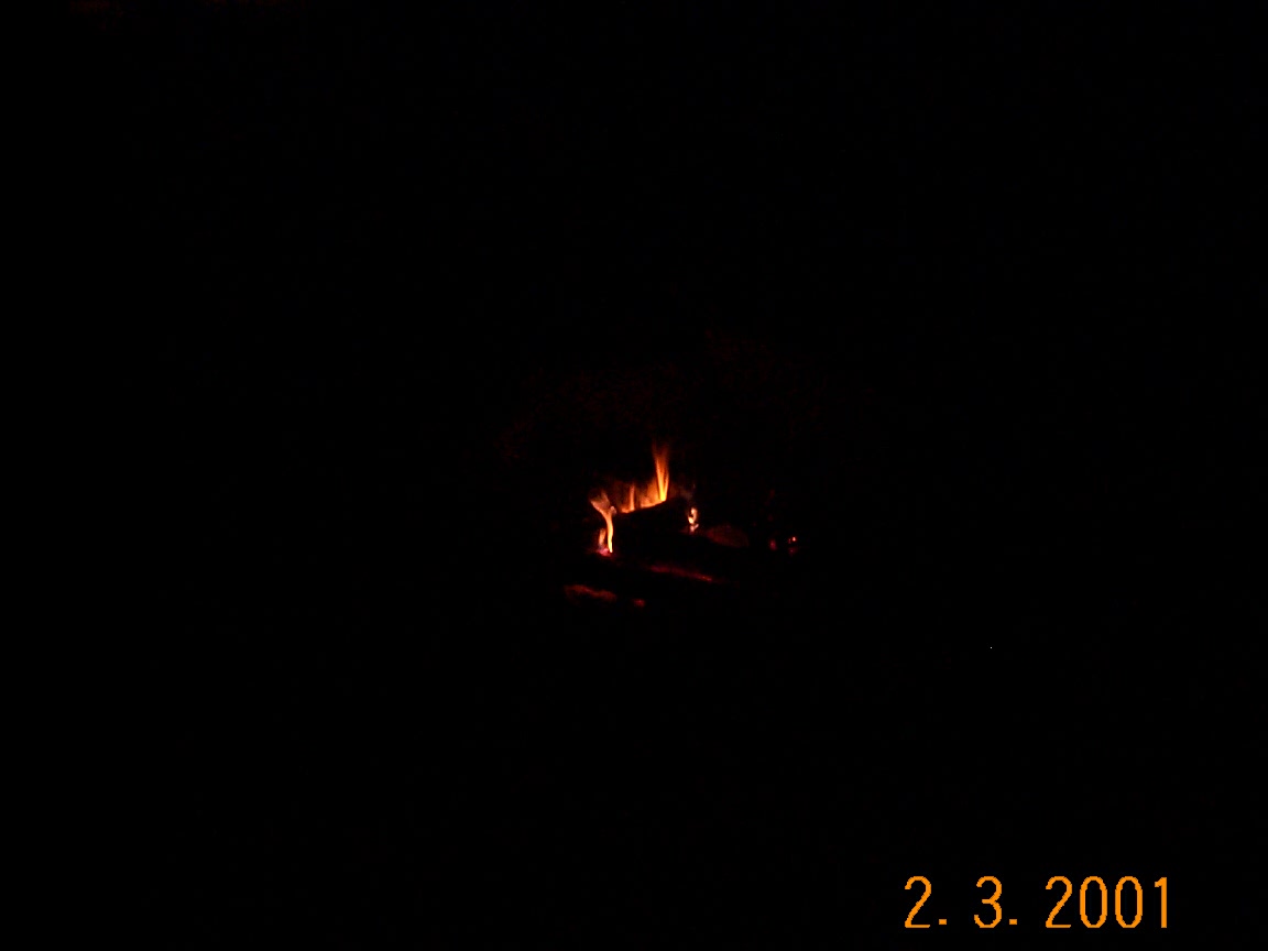 ./2001/Backyard Camp Fire/DCP00543.JPG
